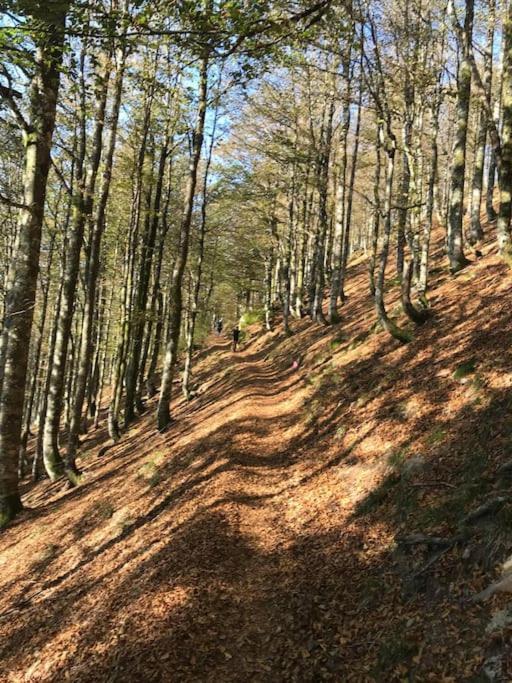 La Magie Entre Deux Lacs Gérardmer Esterno foto