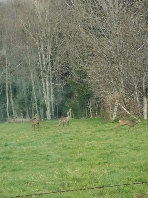 La Magie Entre Deux Lacs Gérardmer Esterno foto