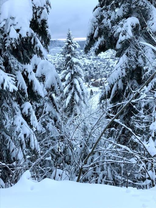 La Magie Entre Deux Lacs Gérardmer Esterno foto